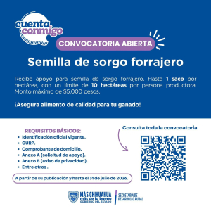 Informan apoyos para entrega de semilla de sorgo forrajero