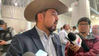 Refuerzan combate al gusano barrenador ante aumento de casos