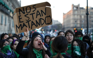 Las mujeres v&iacute;ctimas de la violencia deben de vencer al miedo: FEM