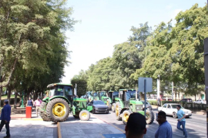 Inician acciones de presi&oacute;n, productores por falta de apoyo