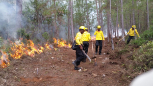 Se preparan para combatir incendios forestales en la sierra