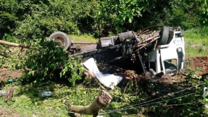 Muere conductor al volcar cami&oacute;n maderero en Guerrero