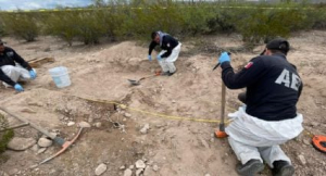 Macabro hallazgo en Casas Grandes