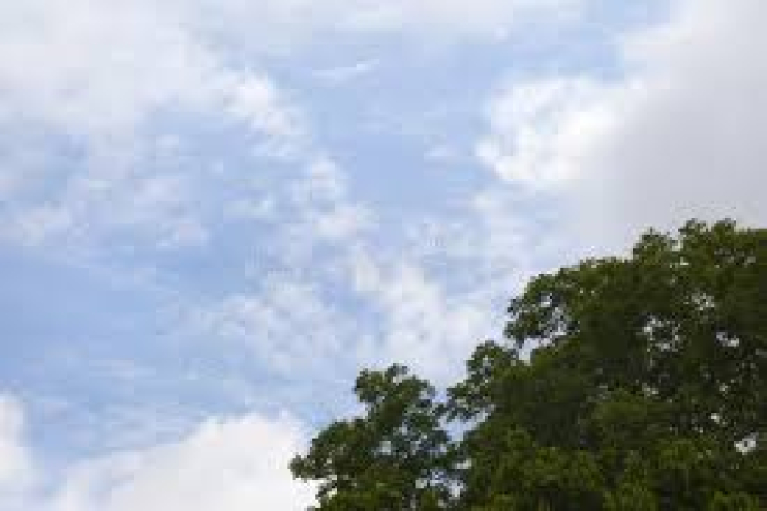 Prevén día nublado con temperatura máxima de 24 grados