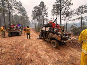 Despliegan operativos especiales en Madera ante incendios