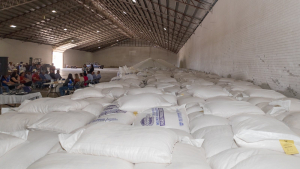 Entregan ma&iacute;z a productores de la region