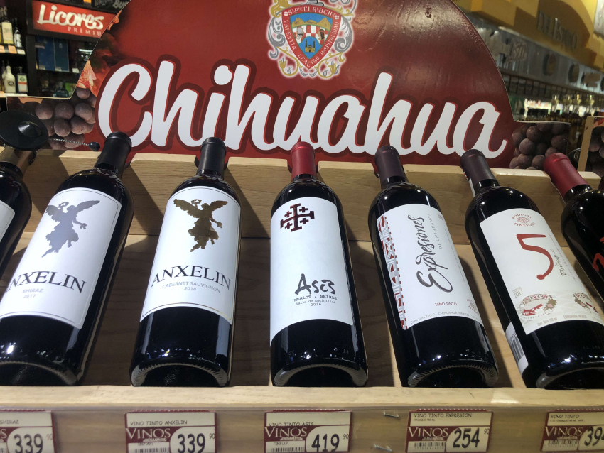 Cuauhtémoc, zona clave para producir vino de calidad