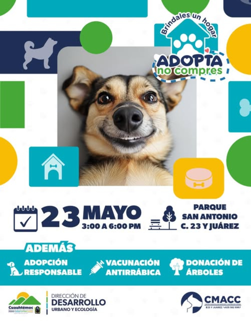 Este sábado adopta una nueva mascota