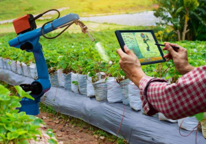 Habr&aacute; apoyo para los proyectos de innovaci&oacute;n en el campo