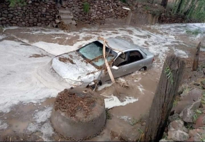 Lluvias hacen estragos en la ciudad