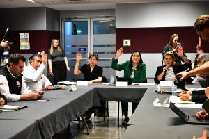 Instalan Comisiones Unidas para analizar lenguas ind&iacute;genas