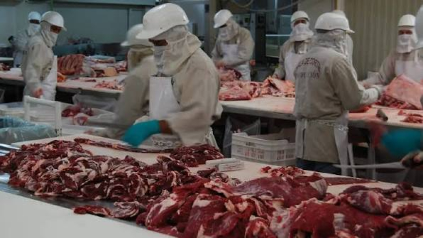 Presidencia municipal garantiza carne segura para Cuauhtémoc