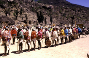 Consultan a grupos indigenas de la tarahumara: Diputado Medina