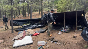 Destruyen campamento de narcos en Moris