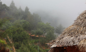 Pronostican lluvias para las pr&oacute;ximas horas en la regi&oacute;n