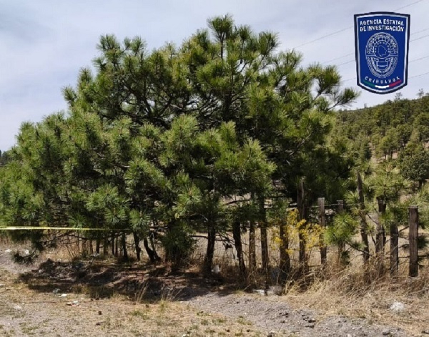 Encuentran hombre sin vida en rúa San Juanito-Maguarichi.