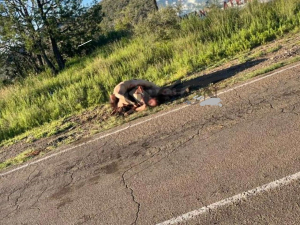 Informan sobre identidad de los ejecutados en Temosachi