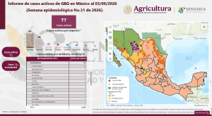Suben a 77 los casos de gusano barrenador; Cuauht&eacute;moc con 3