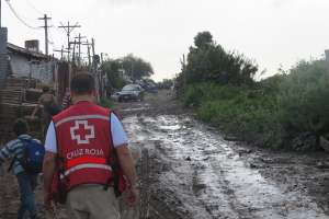 Muere ni&ntilde;o atropellado en Rubio