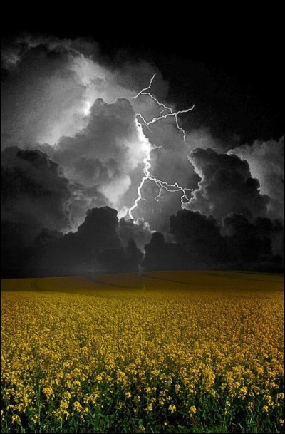 Prevén día caluroso con lluvias en la región