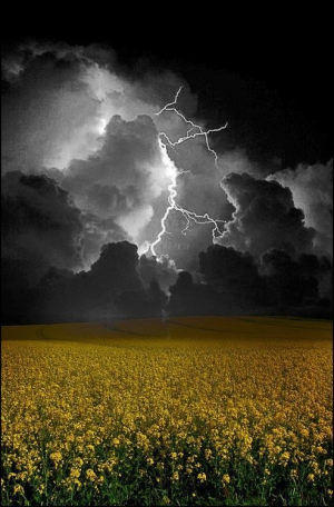 Prev&eacute;n d&iacute;a caluroso con lluvias en la regi&oacute;n