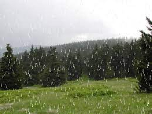 Prev&eacute;n lluvias en la regi&oacute;n serrana; m&aacute;xima ser&aacute; de25&deg;C en Cuauht&eacute;moc