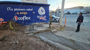 Tumba tr&aacute;iler 5 postes de Telmex en Chihuahua
