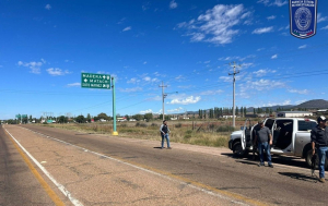 Son tres hombres y dos mujeres los ejecutados en la carretera a Temosachi