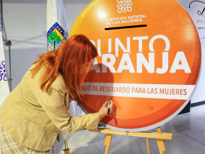 Instalan tres puntos naranja en Guerrero: ICH Mujeres