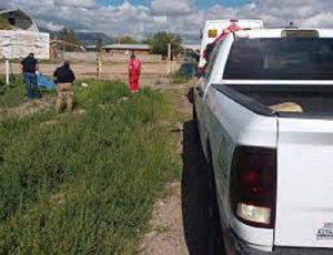 Encuentran partes de hombre muerto en campo menonita