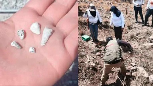 Localizan madres buscadoras fosa con mil 600 dientes