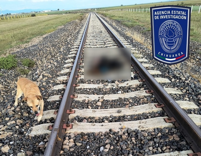 Muere hombre al ser arrollado por el tren