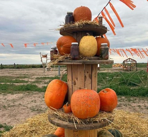 Extienden festival de la calabaza a Villa Ahumada